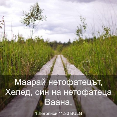 Picture 03 - 1 Летописи 11:30 BULG - Маарай нетофатецът, Хелед, - Bible Verse Picture