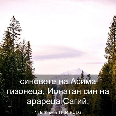 Picture 03 - 1 Летописи 11:34 BULG - синовете на Асима - Bible Verse Picture