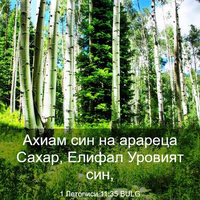 Picture 03 - 1 Летописи 11:35 BULG - Ахиам син на арареца Сахар, - Bible Verse Picture