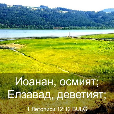 Picture 03 - 1 Летописи 12:12 BULG - Иоанан, осмият; Елзавад, - Bible Verse Picture