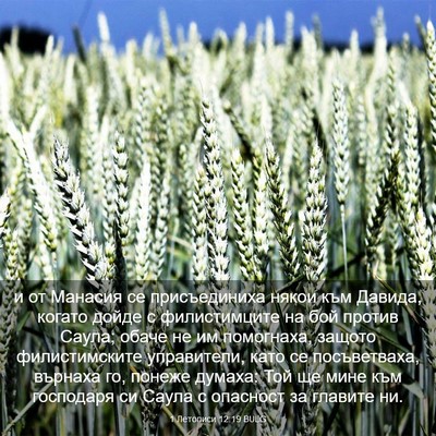 Picture 03 - 1 Летописи 12:19 BULG - и от Манасия се - Bible Verse Picture