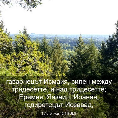 Picture 03 - 1 Летописи 12:4 BULG - гаваонецът Исмаия, силен - Bible Verse Picture