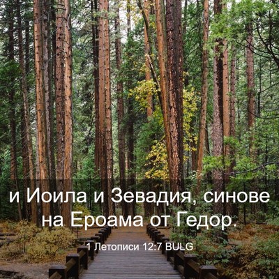 Picture 03 - 1 Летописи 12:7 BULG - и Иоила и Зевадия, синове - Bible Verse Picture