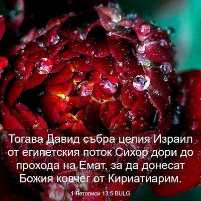 Picture 03 - 1 Летописи 13:5 BULG - Тогава Давид събра целия - Bible Verse Picture