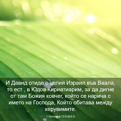 Picture 03 - 1 Летописи 13:6 BULG - И Давид отиде с целия - Bible Verse Picture