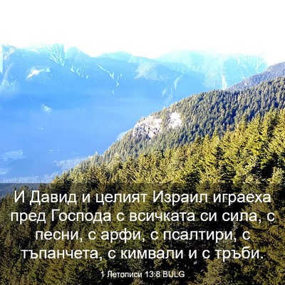 Picture 03 - 1 Летописи 13:8 BULG - И Давид и целият Израил - Bible Verse Picture
