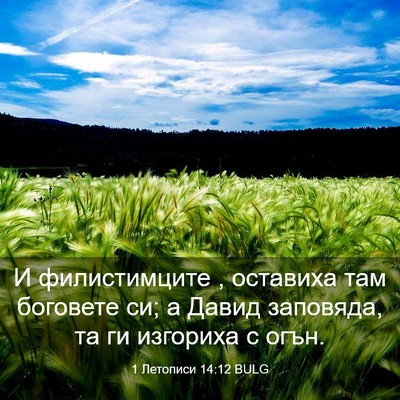 Picture 03 - 1 Летописи 14:12 BULG - И филистимците , оставиха - Bible Verse Picture