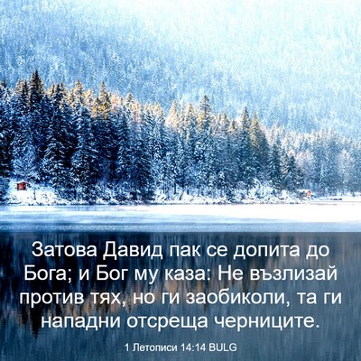 Picture 03 - 1 Летописи 14:14 BULG - Затова Давид пак се допита - Bible Verse Picture