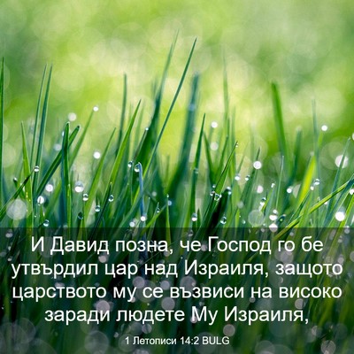 Picture 03 - 1 Летописи 14:2 BULG - И Давид позна, че Господ го - Bible Verse Picture