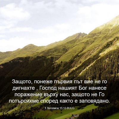 Picture 03 - 1 Летописи 15:13 BULG - Защото, понеже първия път - Bible Verse Picture