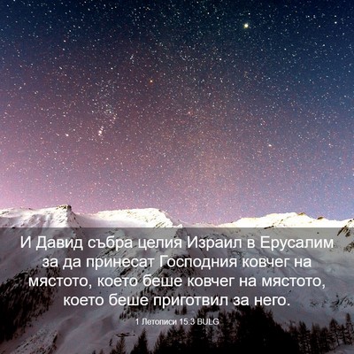 Picture 03 - 1 Летописи 15:3 BULG - И Давид събра целия Израил - Bible Verse Picture