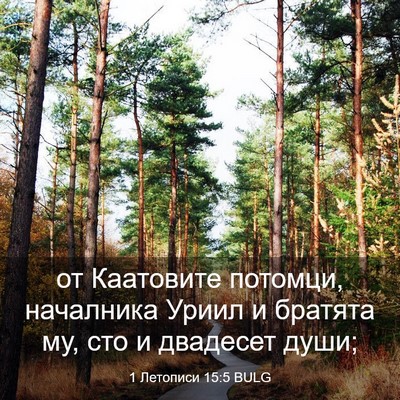 Picture 03 - 1 Летописи 15:5 BULG - от Каатовите потомци, - Bible Verse Picture