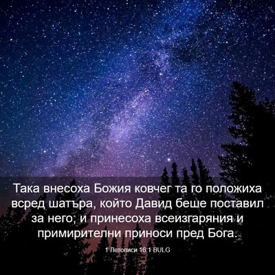 Picture 03 - 1 Летописи 16:1 BULG - Така внесоха Божия ковчег - Bible Verse Picture