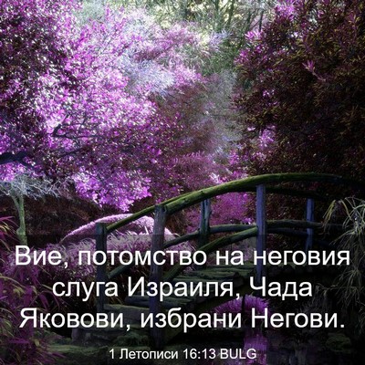 Picture 03 - 1 Летописи 16:13 BULG - Вие, потомство на неговия - Bible Verse Picture