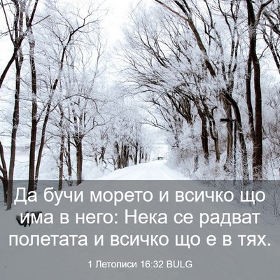 Picture 03 - 1 Летописи 16:32 BULG - Да бучи морето и всичко що - Bible Verse Picture