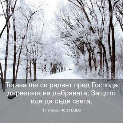 Picture 03 - 1 Летописи 16:33 BULG - Тогава ще се радват пред - Bible Verse Picture