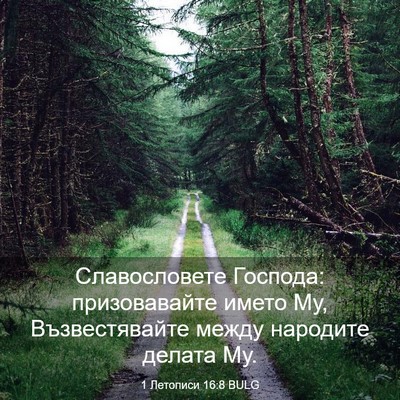Picture 03 - 1 Летописи 16:8 BULG - Славословете Господа: - Bible Verse Picture