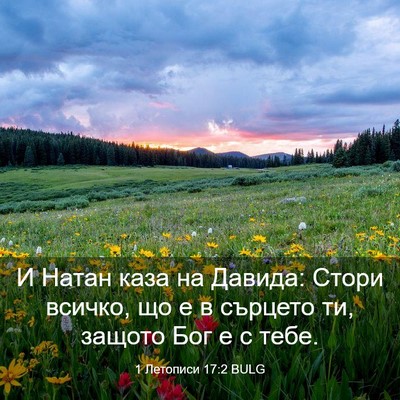 Picture 03 - 1 Летописи 17:2 BULG - И Натан каза на Давида: - Bible Verse Picture