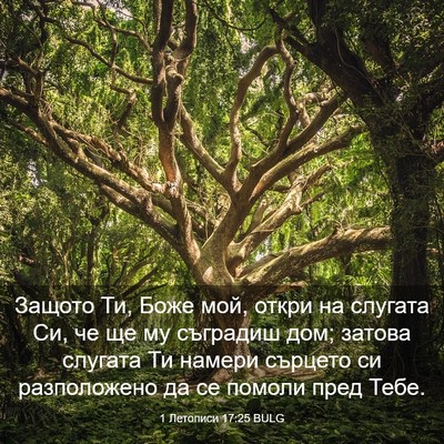 Picture 03 - 1 Летописи 17:25 BULG - Защото Ти, Боже мой, откри - Bible Verse Picture