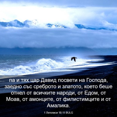 Picture 03 - 1 Летописи 18:11 BULG - па и тях цар Давид посвети - Bible Verse Picture
