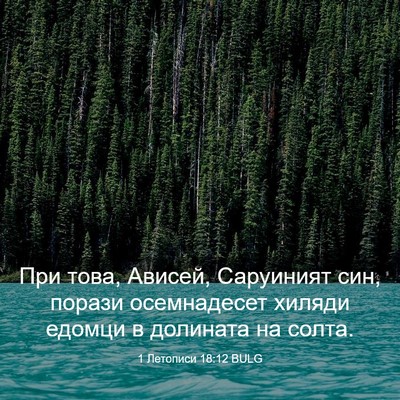 Picture 03 - 1 Летописи 18:12 BULG - При това, Ависей, Саруиният - Bible Verse Picture