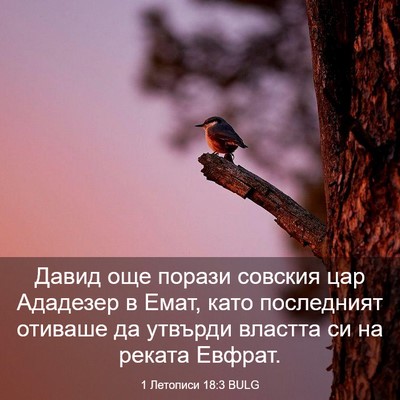 Picture 03 - 1 Летописи 18:3 BULG - Давид още порази совския - Bible Verse Picture