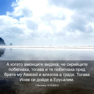 Picture 03 - 1 Летописи 19:15 BULG - А когато амонците видяха, - Bible Verse Picture
