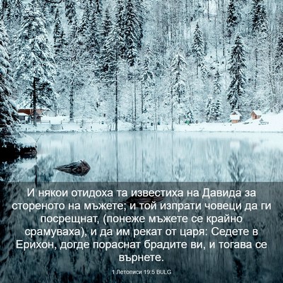 Picture 03 - 1 Летописи 19:5 BULG - И някои отидоха та - Bible Verse Picture