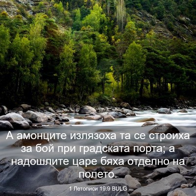 Picture 03 - 1 Летописи 19:9 BULG - А амонците излязоха та се - Bible Verse Picture