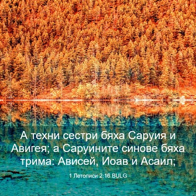 Picture 03 - 1 Летописи 2:16 BULG - А техни сестри бяха Саруия - Bible Verse Picture