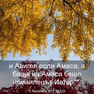 Picture 03 - 1 Летописи 2:17 BULG - и Авигея роди Амаса; а баща - Bible Verse Picture