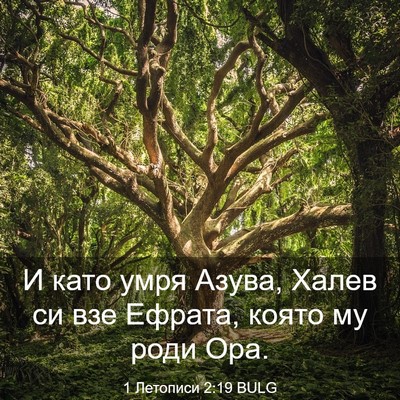 Picture 03 - 1 Летописи 2:19 BULG - И като умря Азува, Халев си - Bible Verse Picture