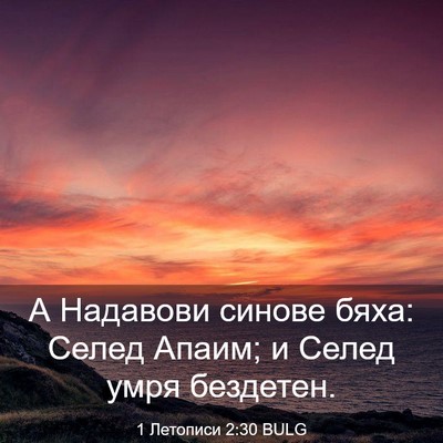 Picture 03 - 1 Летописи 2:30 BULG - А Надавови синове бяха: - Bible Verse Picture