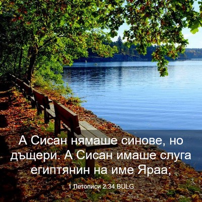 Picture 03 - 1 Летописи 2:34 BULG - А Сисан нямаше синове, но - Bible Verse Picture