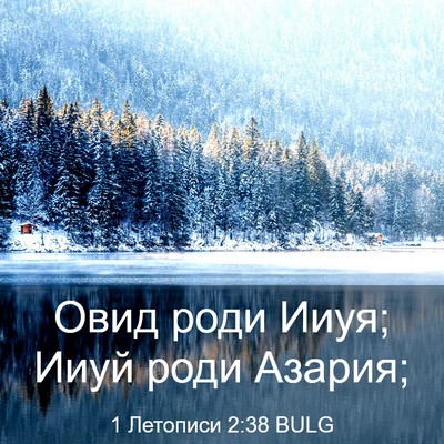 Picture 03 - 1 Летописи 2:38 BULG - Овид роди Ииуя; Ииуй роди - Bible Verse Picture