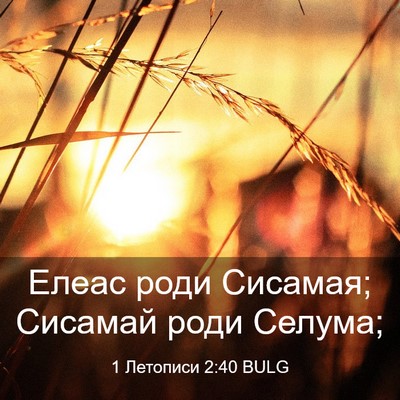 Picture 03 - 1 Летописи 2:40 BULG - Елеас роди Сисамая; - Bible Verse Picture