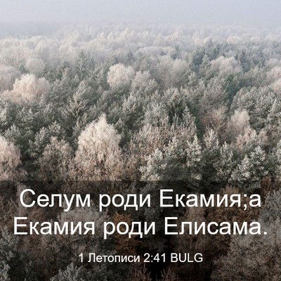 Picture 03 - 1 Летописи 2:41 BULG - Селум роди Екамия;а Екамия - Bible Verse Picture