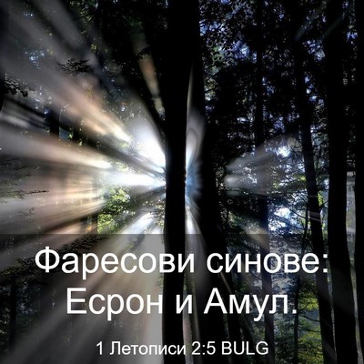 Picture 03 - 1 Летописи 2:5 BULG - Фаресови синове: Есрон и - Bible Verse Picture