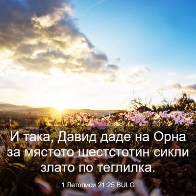 Picture 03 - 1 Летописи 21:25 BULG - И така, Давид даде на Орна - Bible Verse Picture