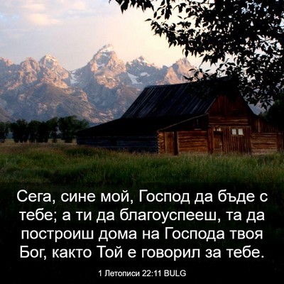 Picture 03 - 1 Летописи 22:11 BULG - Сега, сине мой, Господ да - Bible Verse Picture