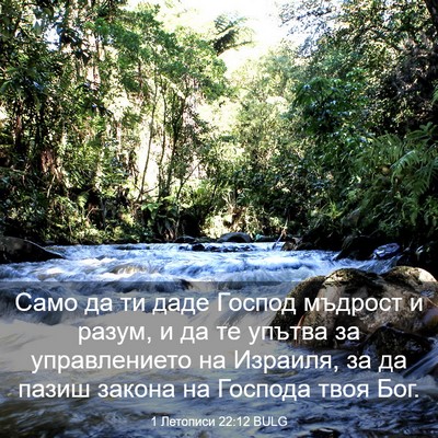 Picture 03 - 1 Летописи 22:12 BULG - Само да ти даде Господ - Bible Verse Picture