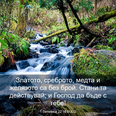 Picture 03 - 1 Летописи 22:16 BULG - Златото, среброто, медта и - Bible Verse Picture