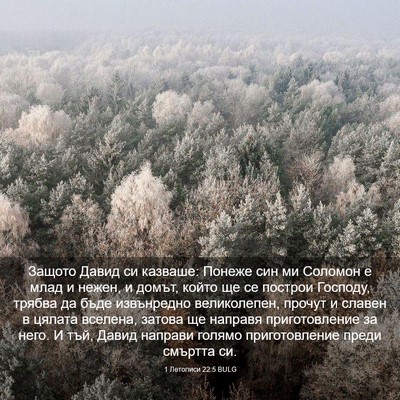 Picture 03 - 1 Летописи 22:5 BULG - Защото Давид си казваше: - Bible Verse Picture