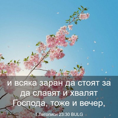 Picture 03 - 1 Летописи 23:30 BULG - и всяка заран да стоят за - Bible Verse Picture