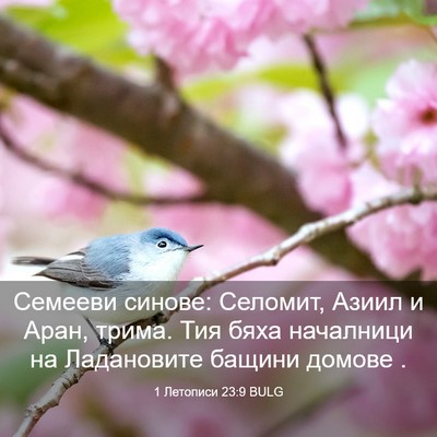 Picture 03 - 1 Летописи 23:9 BULG - Семееви синове: Селомит, - Bible Verse Picture