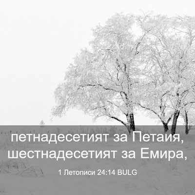 Picture 03 - 1 Летописи 24:14 BULG - петнадесетият за Петаия, - Bible Verse Picture