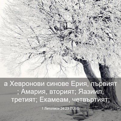 Picture 03 - 1 Летописи 24:23 BULG - а Хевронови синове Ерия, - Bible Verse Picture