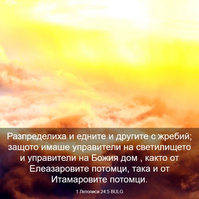 Picture 03 - 1 Летописи 24:5 BULG - Разпределиха и едните и - Bible Verse Picture