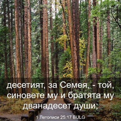 Picture 03 - 1 Летописи 25:17 BULG - десетият, за Семея, - той, - Bible Verse Picture