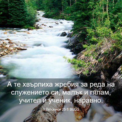 Picture 03 - 1 Летописи 25:8 BULG - А те хвърлиха жребия за - Bible Verse Picture